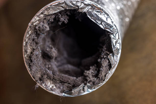 Best HVAC Maintenance and Cleaning  in Angier, NC