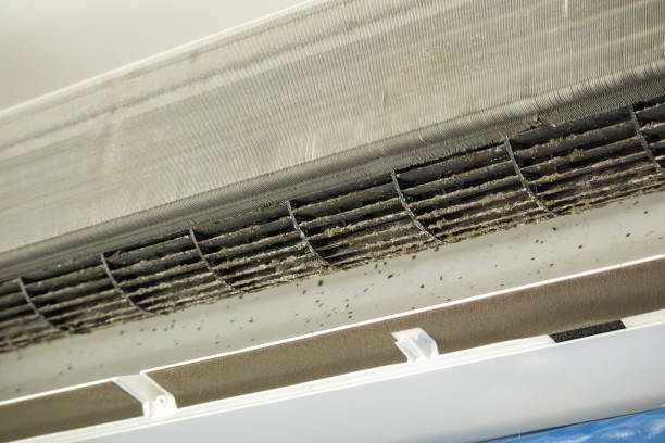 Best Air Vent Cleaning Services  in Angier, NC